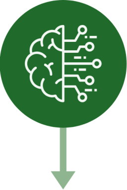 Listen, Learn, Contextualise