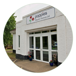 Poppies Daycare Nursery