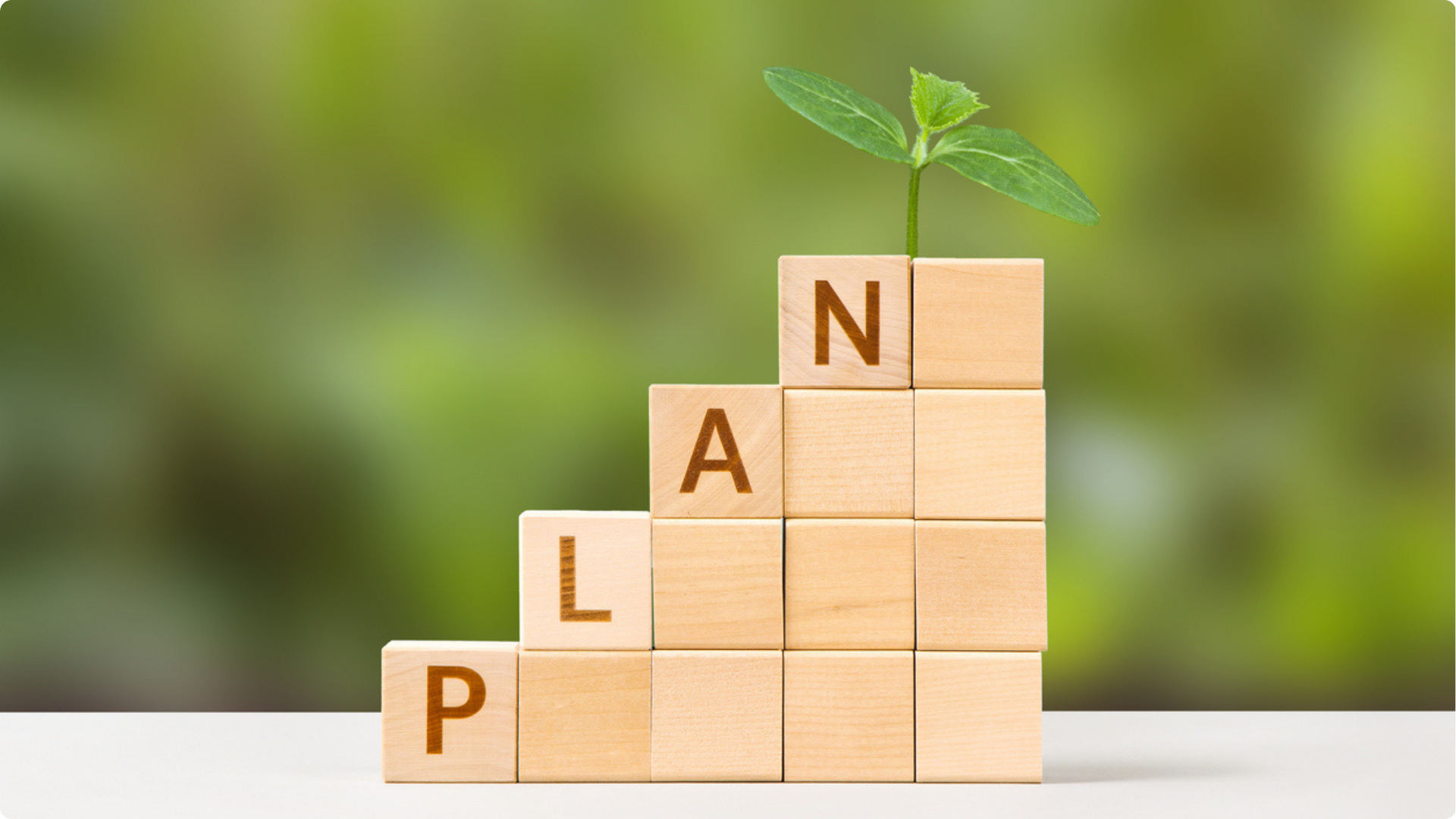 Strategic Economic Plan shown by growth on building blocks